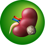 Batugin Information Icon