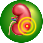 Batugin Information Icon