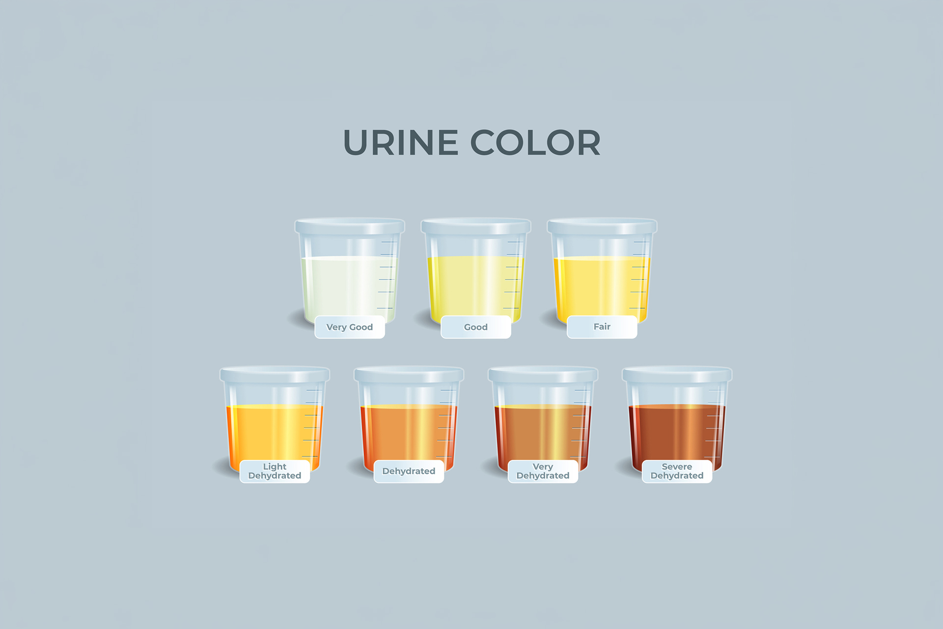 Apa Warna Urine Normal? Cek Disini!