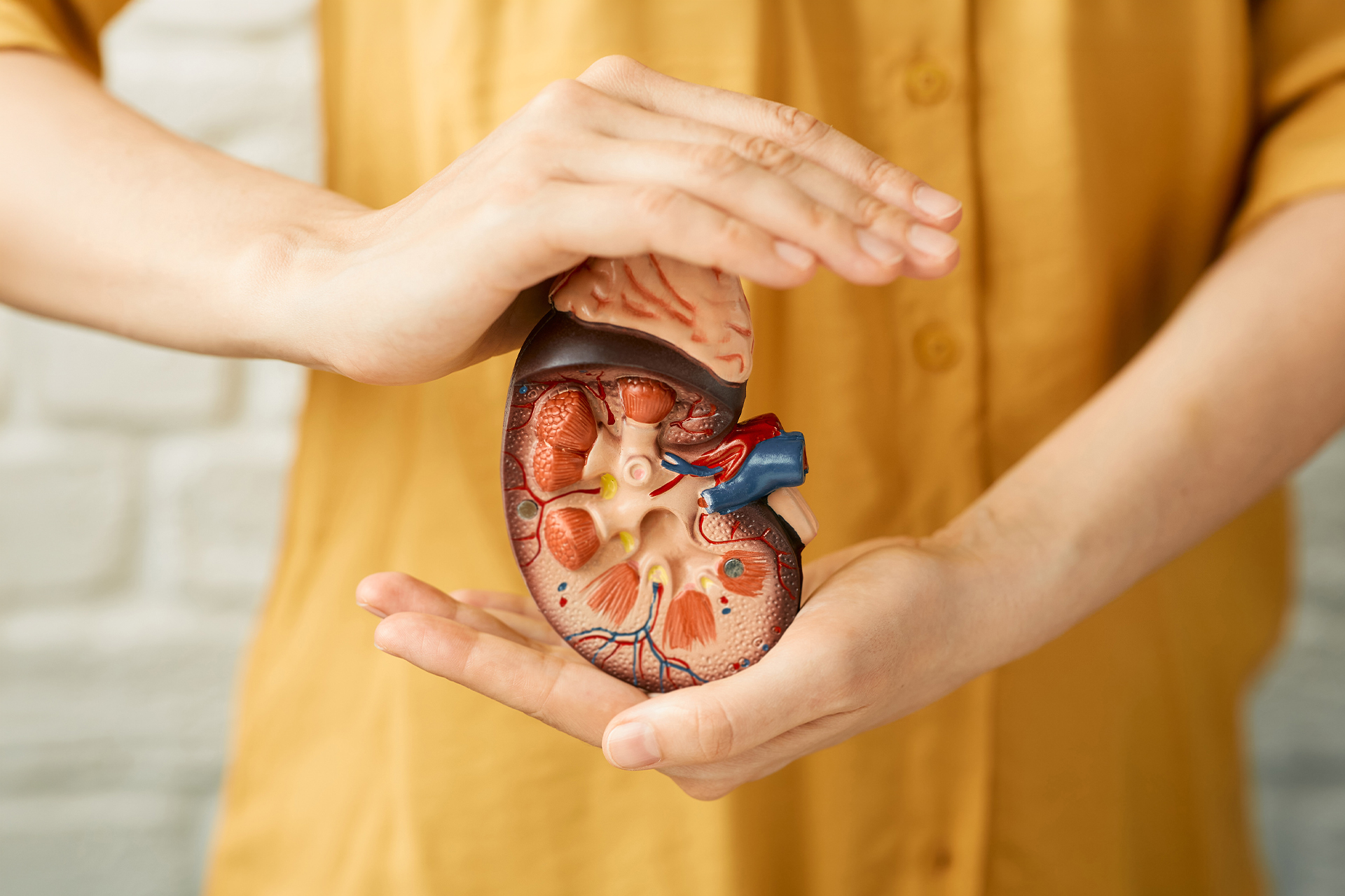 Investasi Terbaik Bagi Ginjalmu