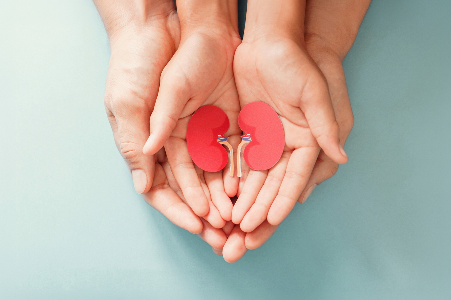 BPJS Dicabut, Ginjal Terancam? Saatnya Lindungi Ginjalmu Sedari Dini